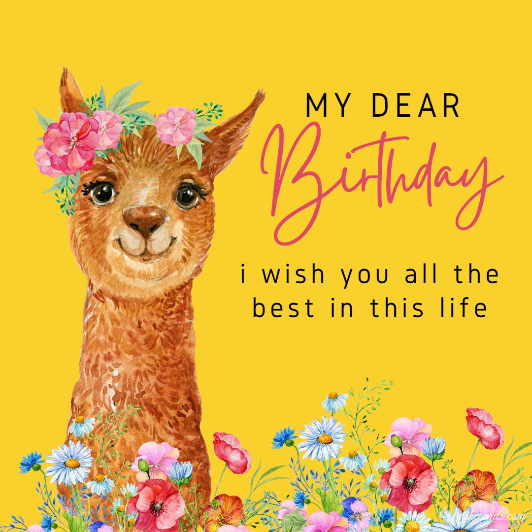 Happy Birthday Cards with Alpaca
