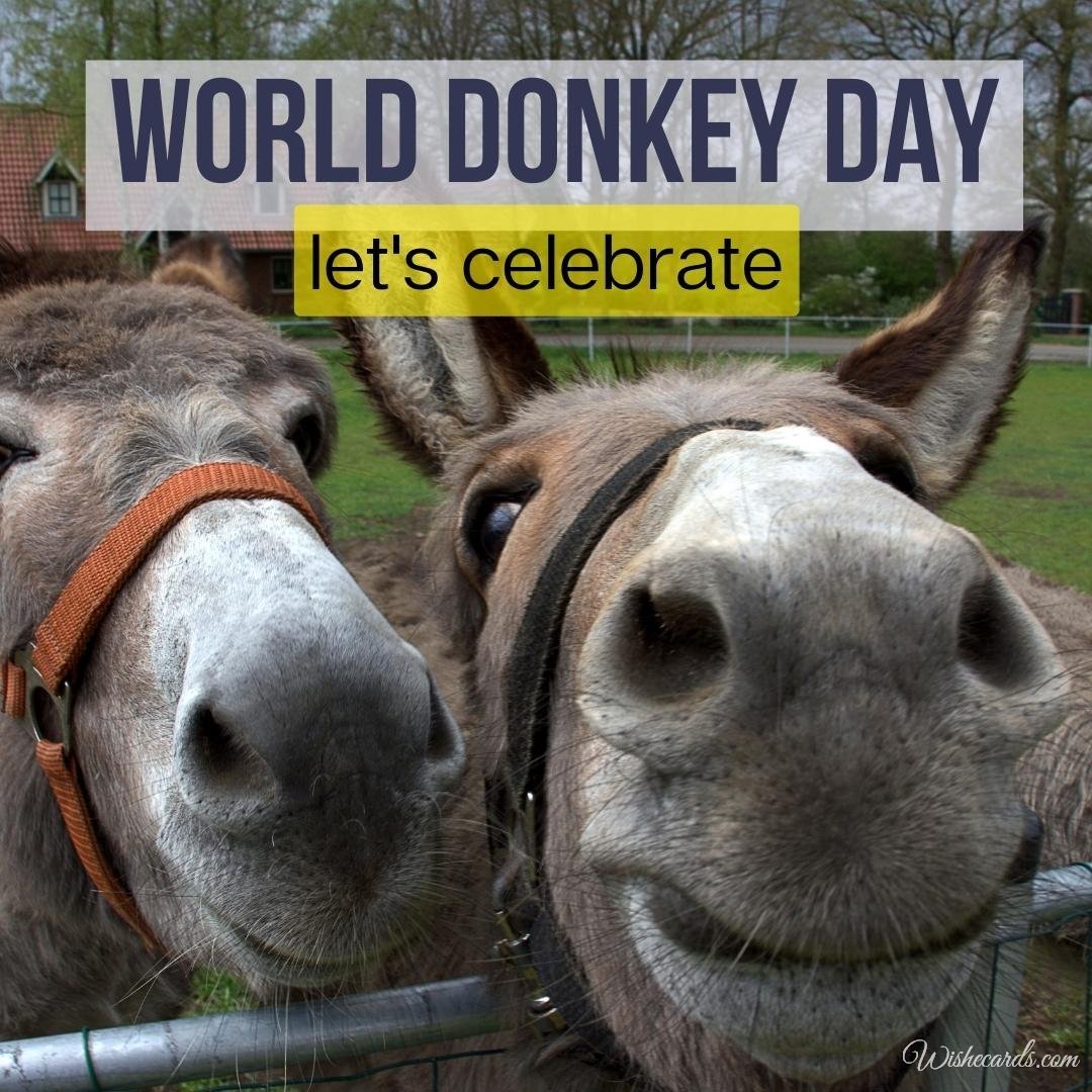 Beautiful World Donkey Day Ecard