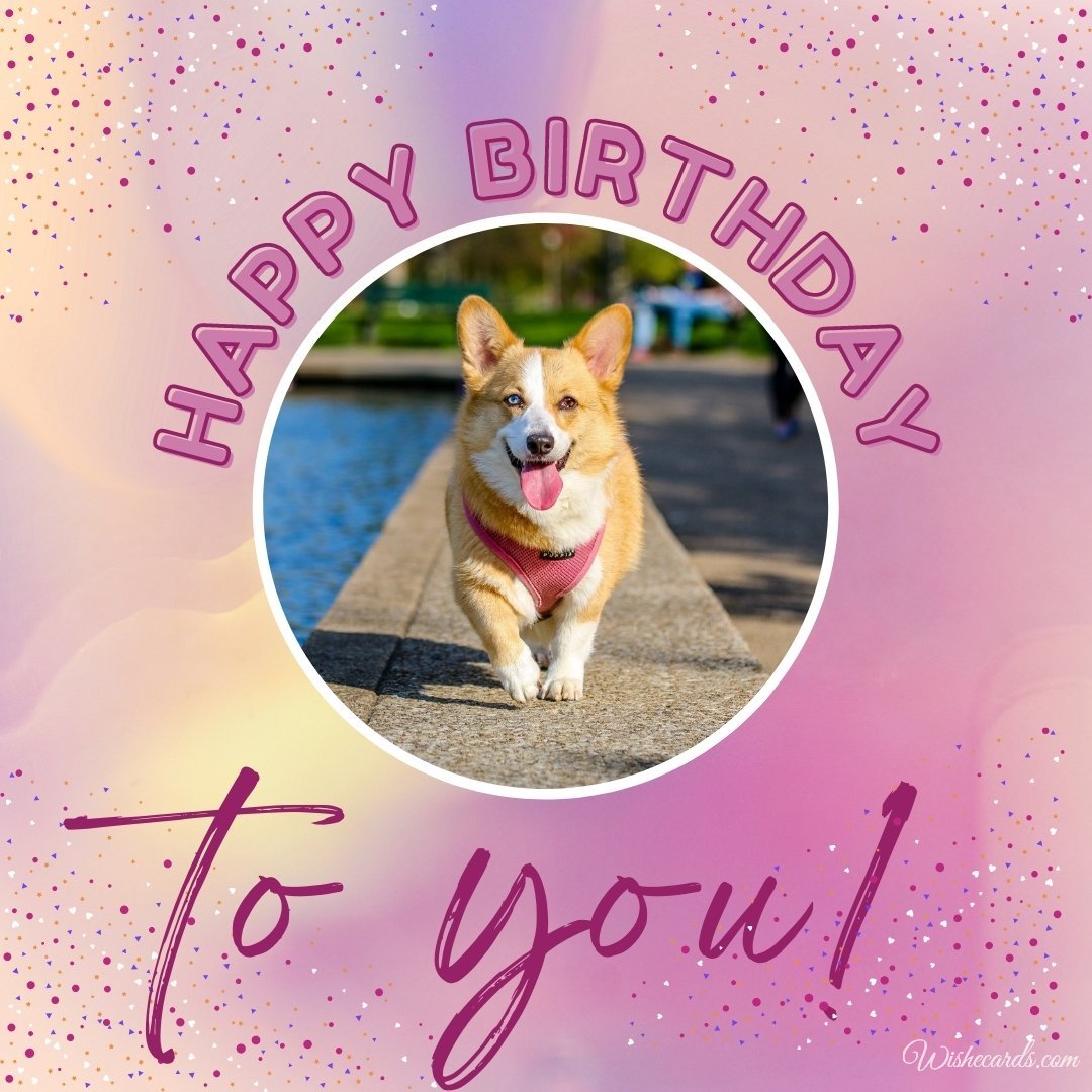 Happy Birthday Images  with Dogs