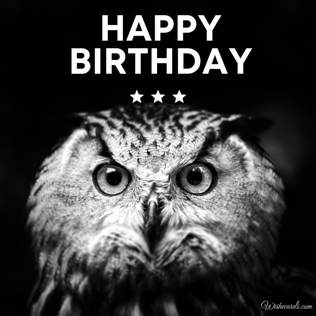 Birthday Card With Owl
