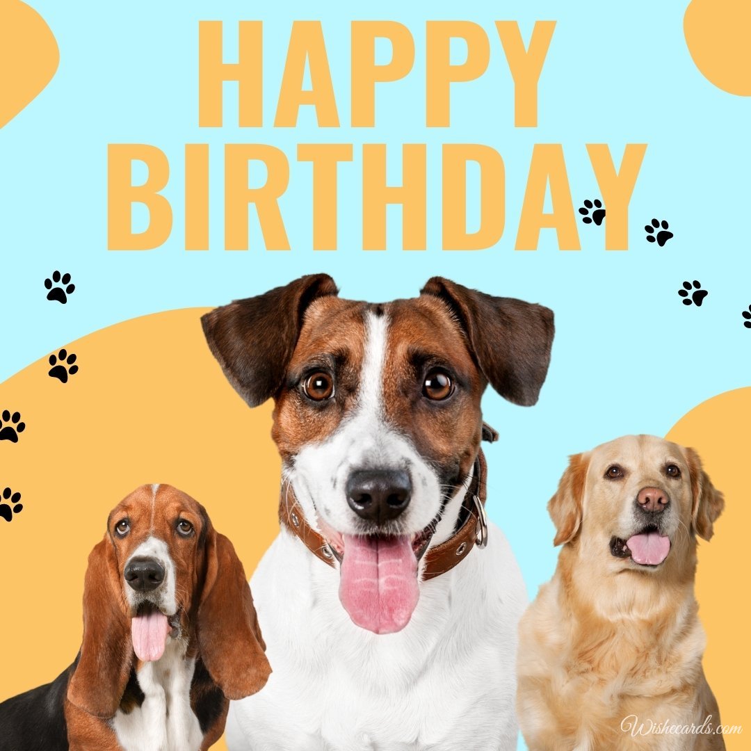 Birthday Wish Ecard with Dogs