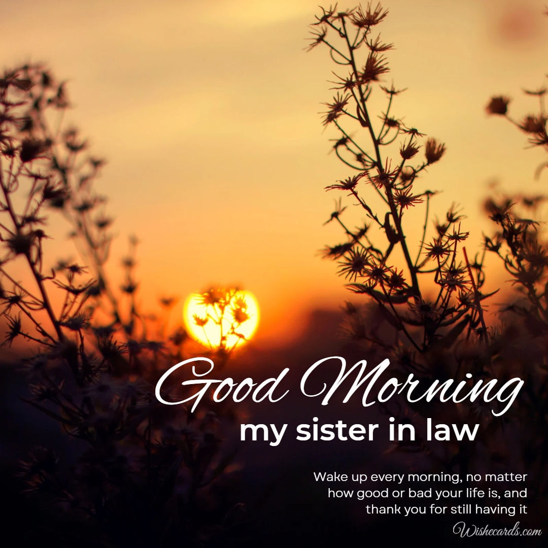 Good Morning Sister in Law Images
