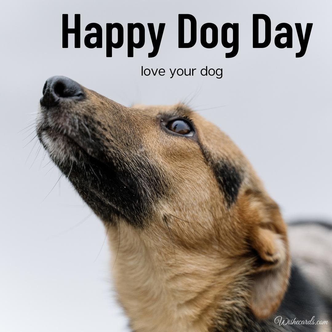 Cool National Dog Day Greeting Ecard