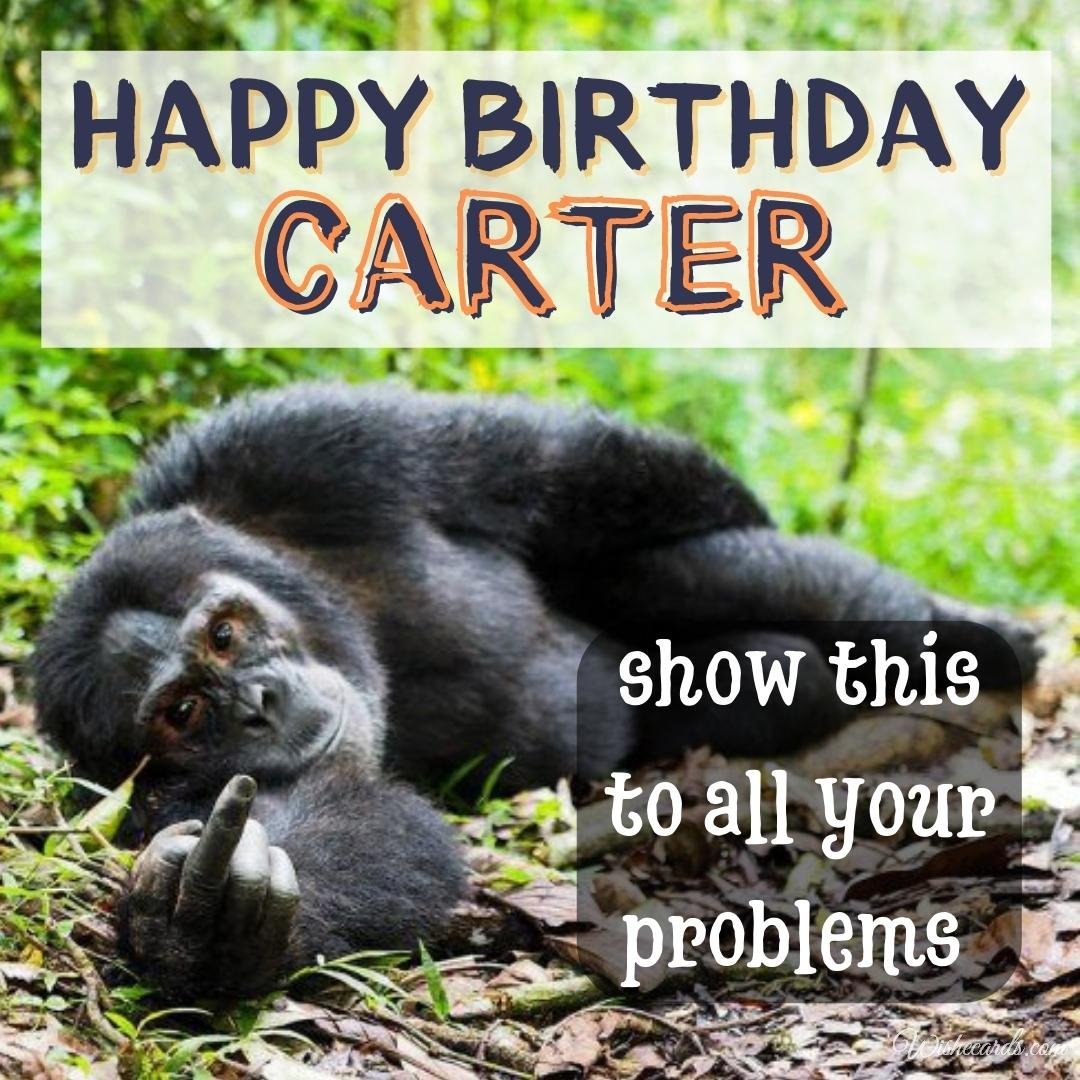 Funny Birthday Ecard for Carter