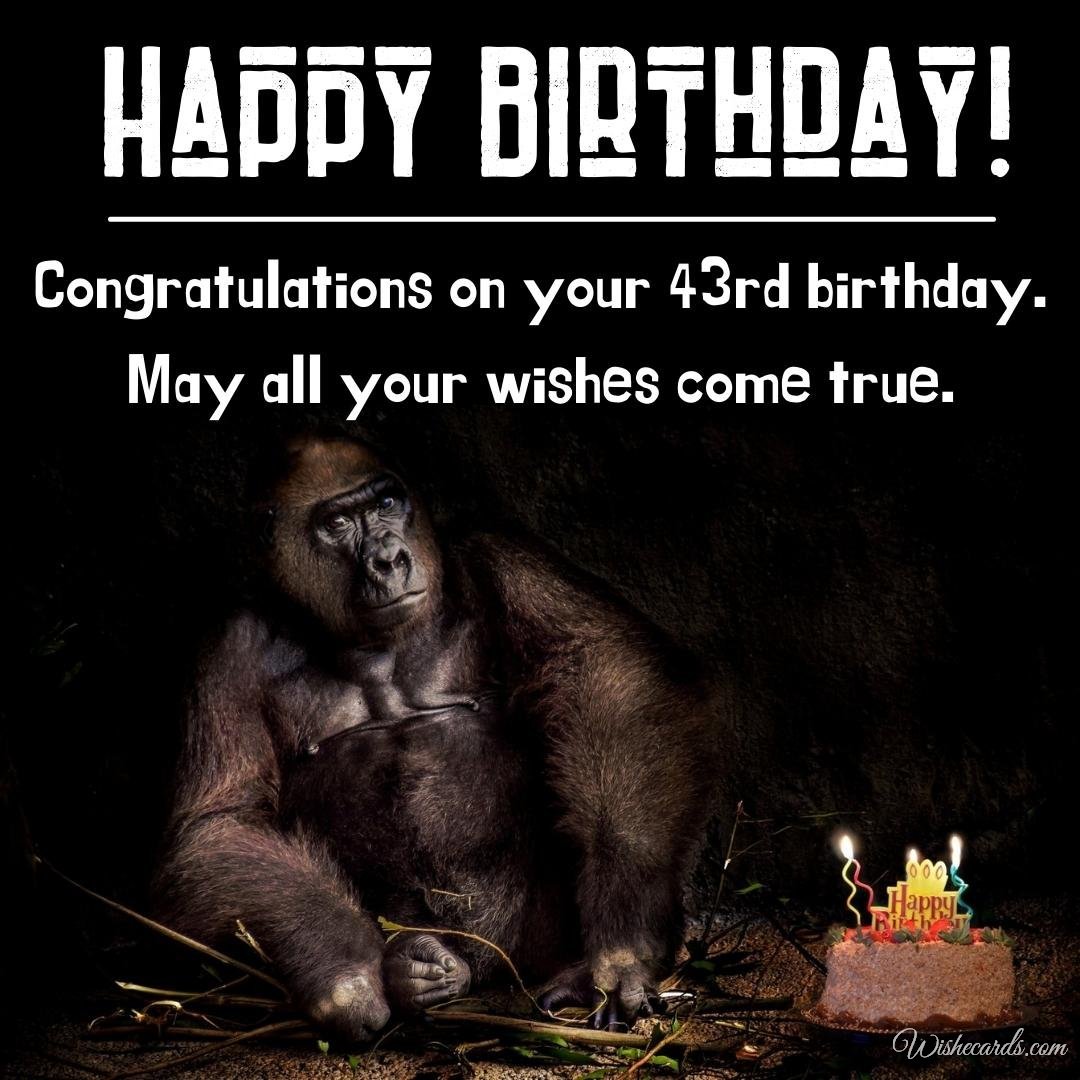 Funny Happy 43rd Birthday Wish Ecard