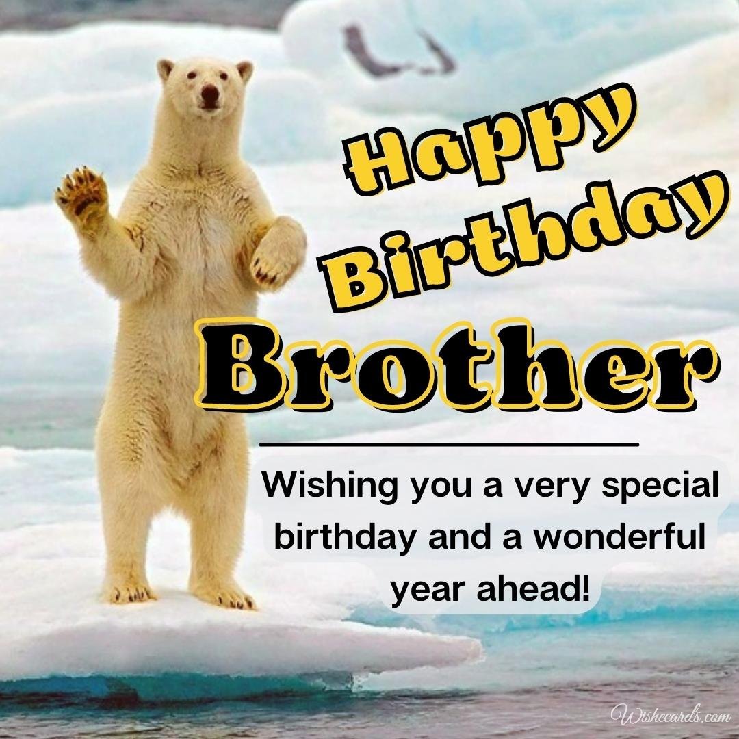 Funny Happy Birthday Card for Brother