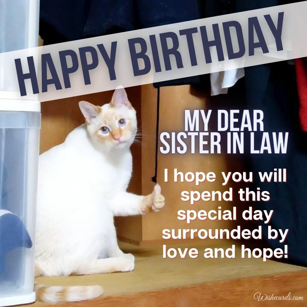 Funny Happy Birthday Ecard for Sister in Law