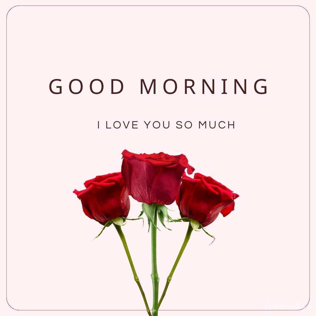 Good Morning Cute Rose Image
