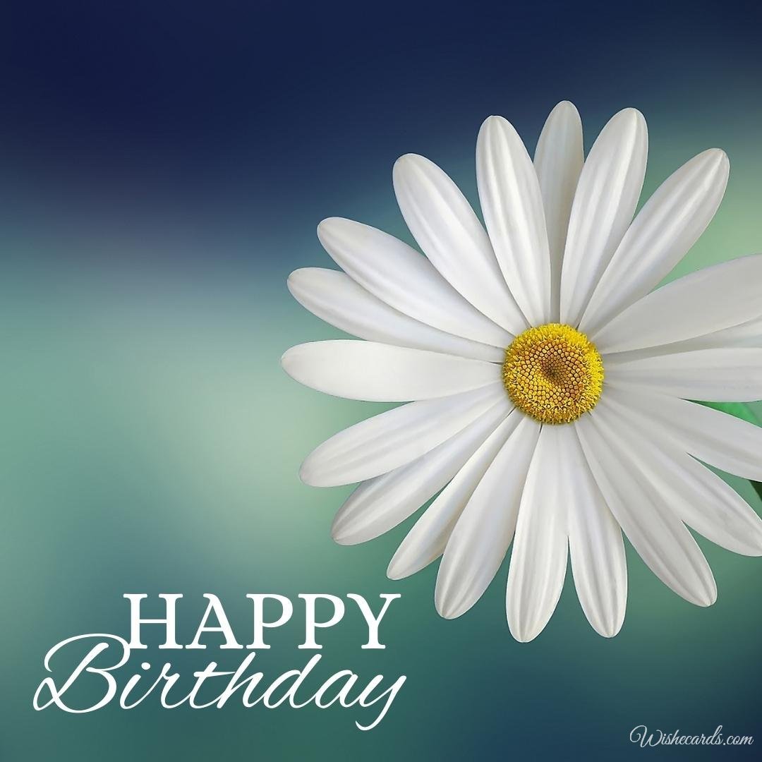 Happy Birthday Card with Beautiful Daisies