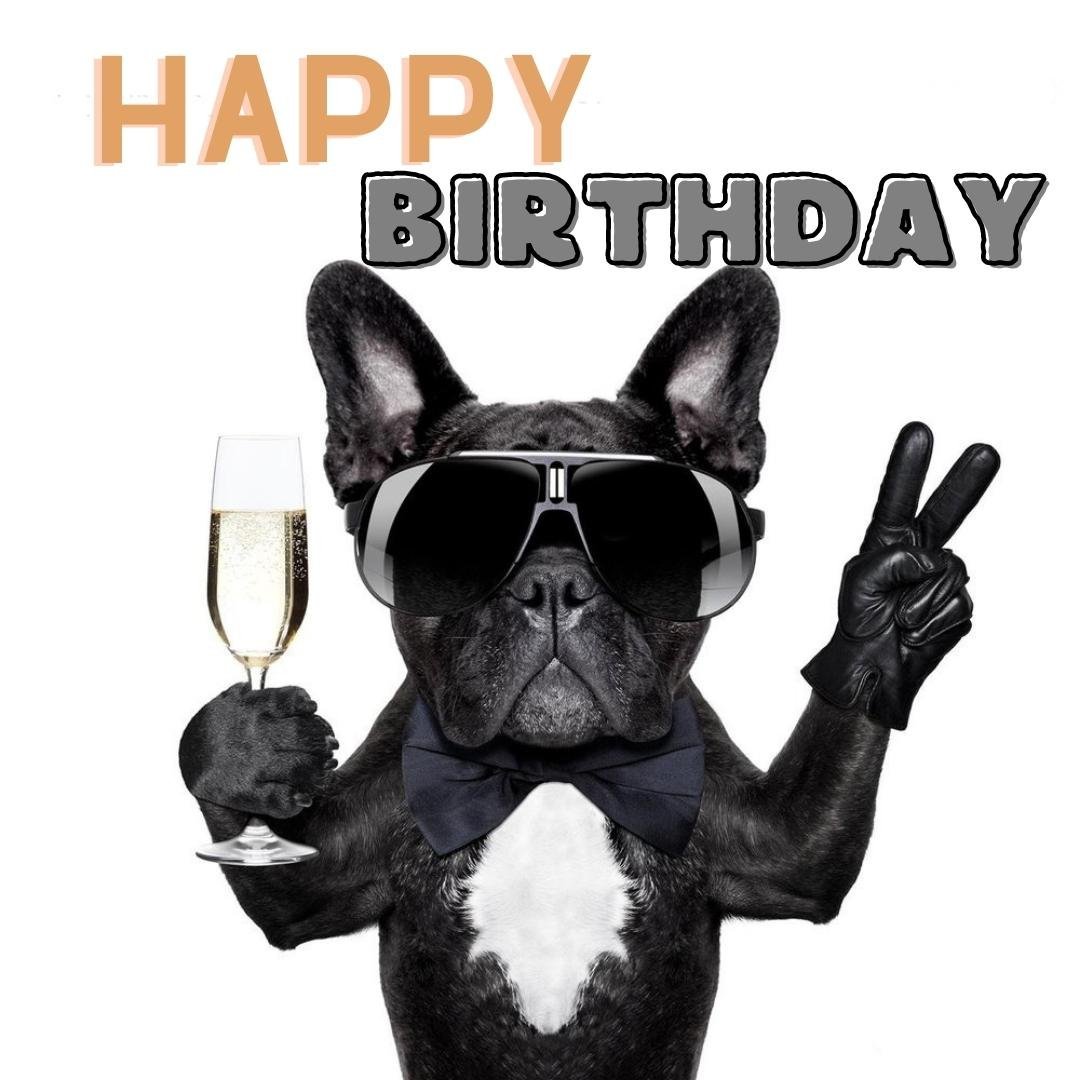 Happy Birthday Wish Ecard with Dogs