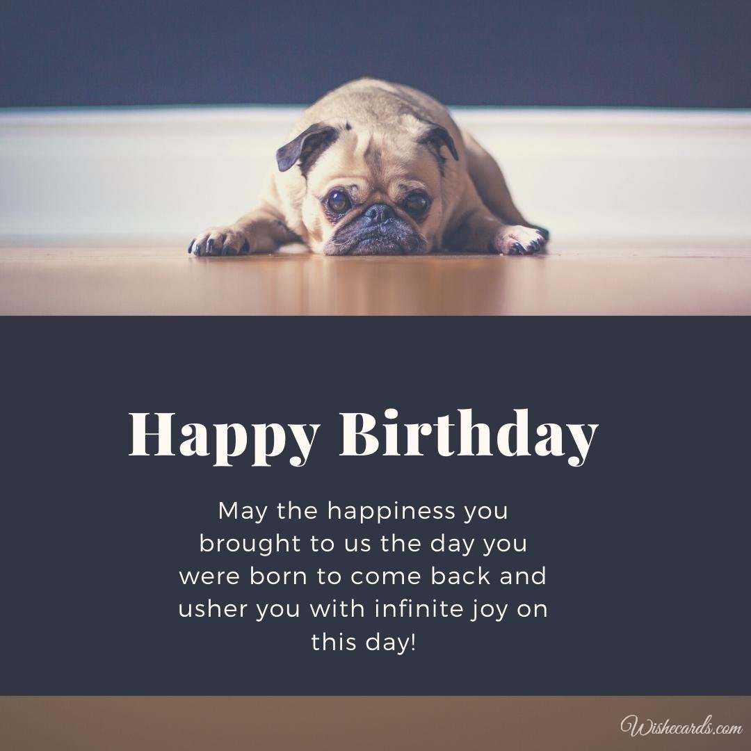 Happy Birthday Wish Ecard With Pug