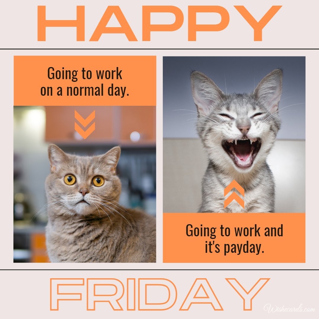 Happy Friday Funny Image with Text