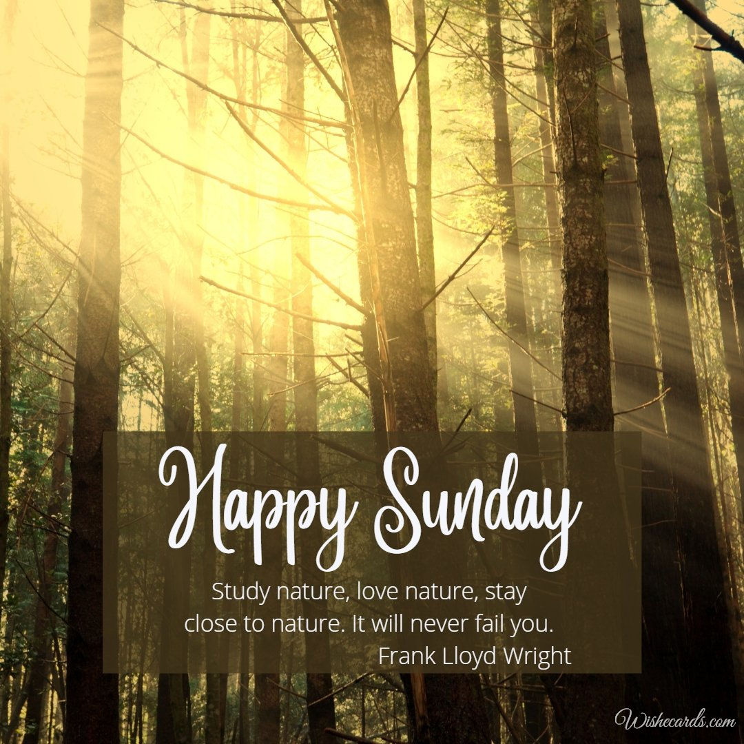 Happy Sunday Beautiful Ecard with Text