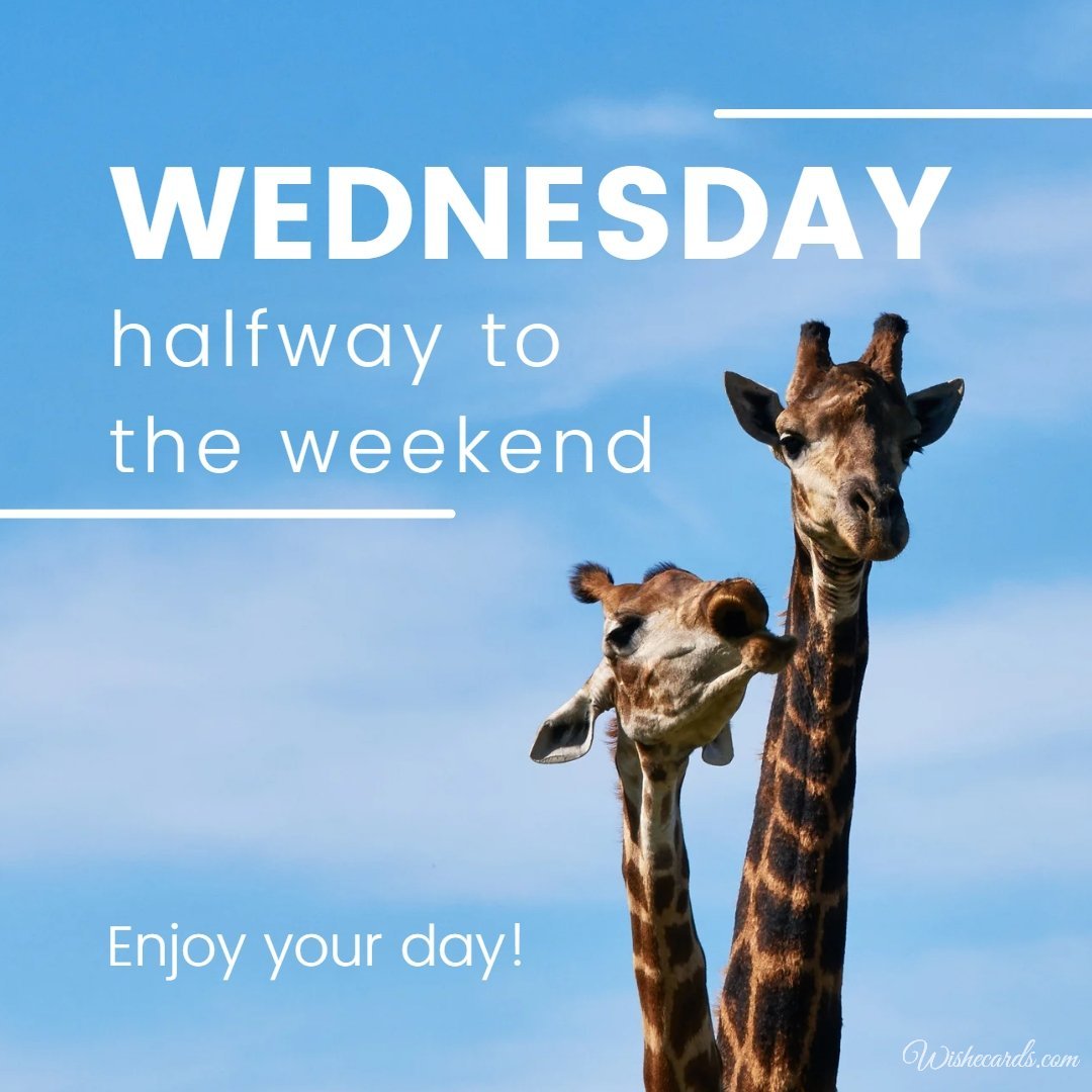 Happy Wednesday Funny Ecard with Text