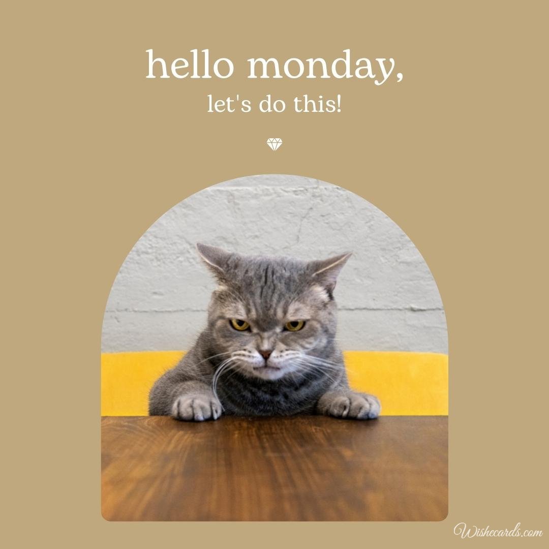 Hello Monday Card with Funny Cat