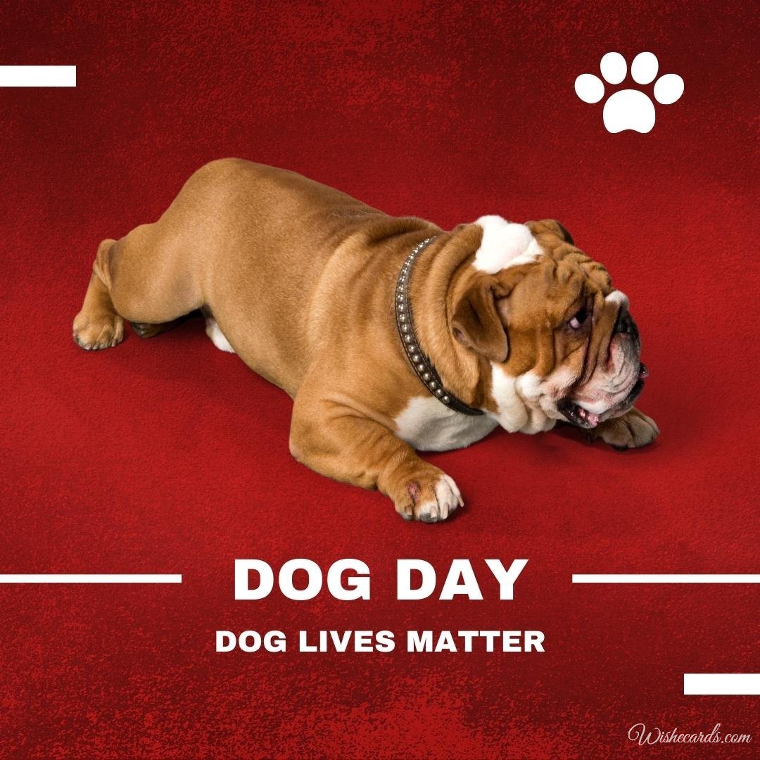 Inspiring National Dog Day Ecard With Text