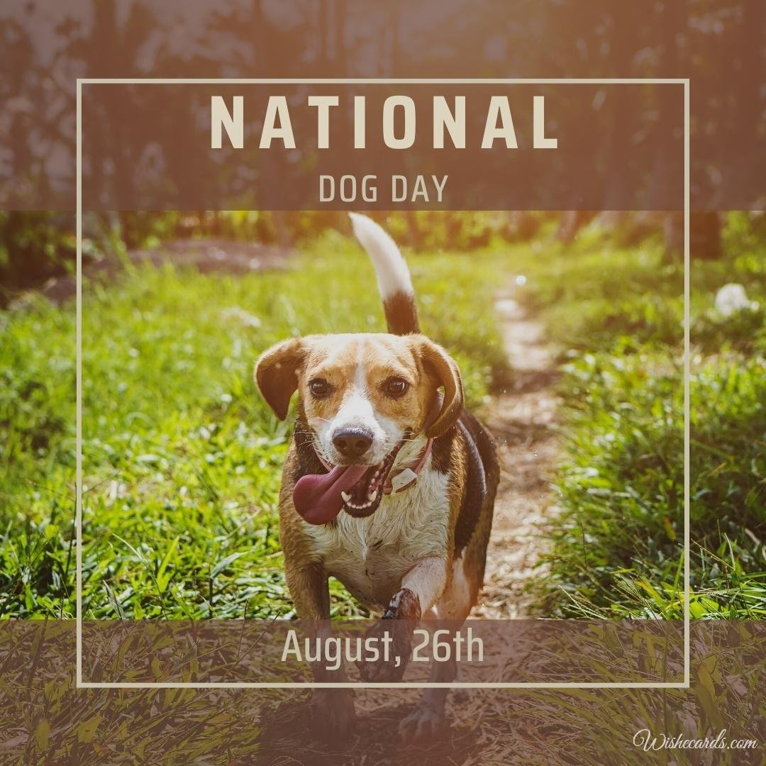 National Dog Day Card