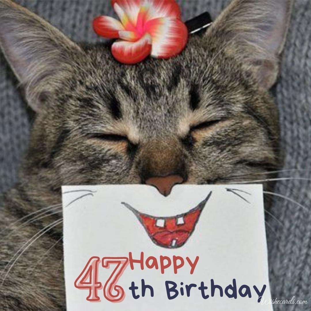 47th Birthday Greeting Card