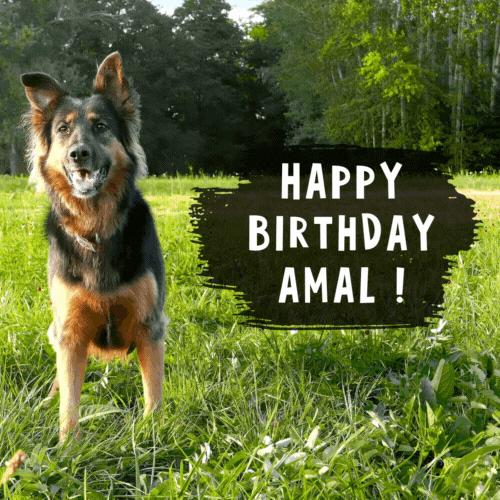 Amal Happy Birthday