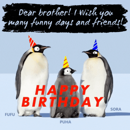Animated Brother Birthday Wish