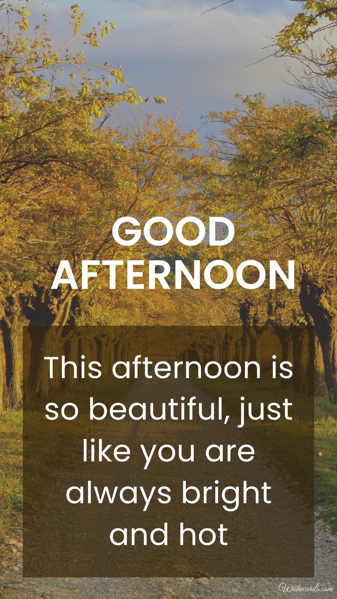 Autumn Good Afternoon Card