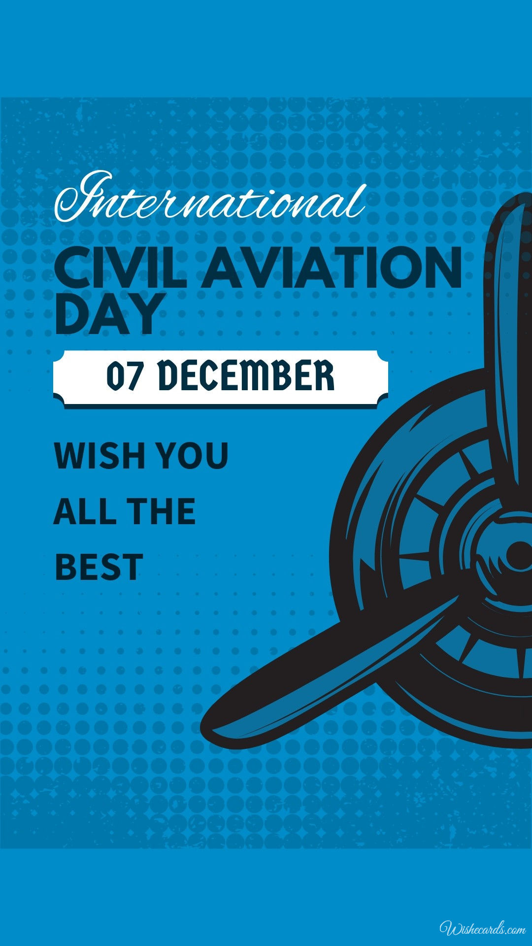 Beautiful Aviation Day Card