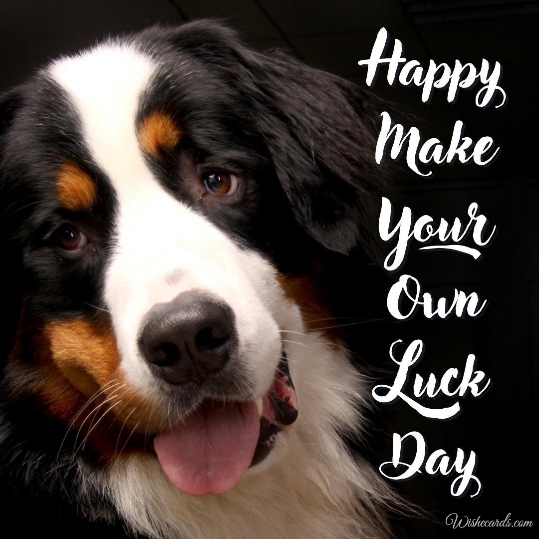 Beautiful Make Your Own Luck Day Picture