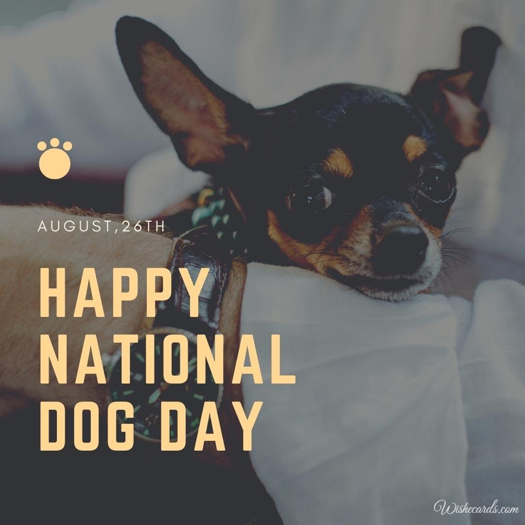 Beautiful National Dog Day Ecard