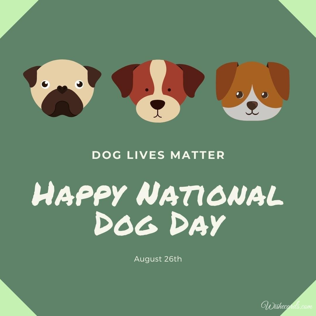 Beautiful National Dog Day Image