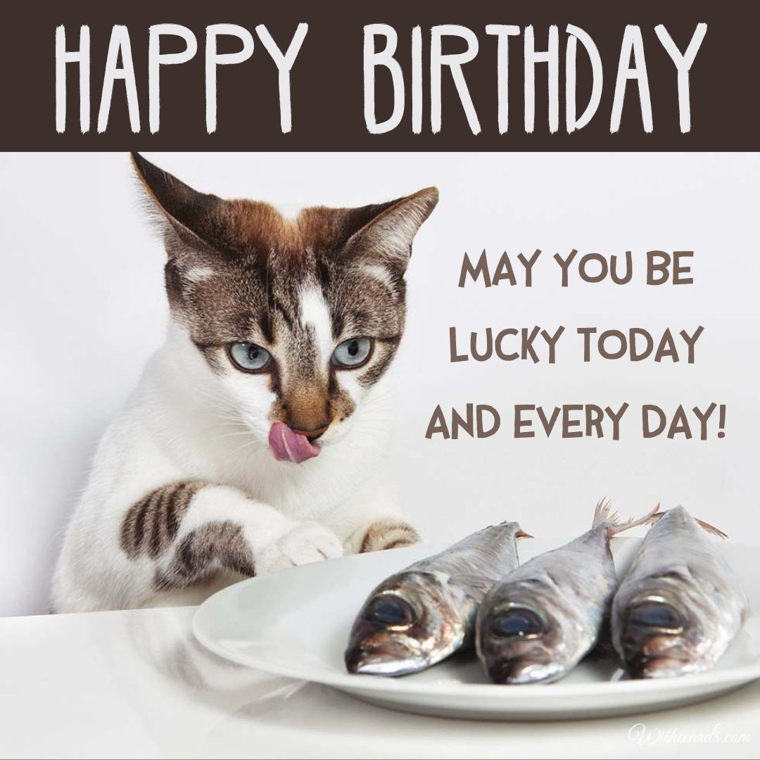 Birthday Card with Cat Funny