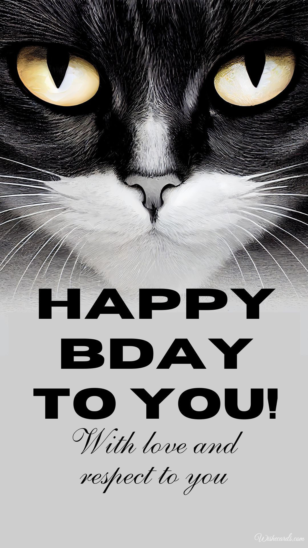 Birthday Card from Cat to Owner