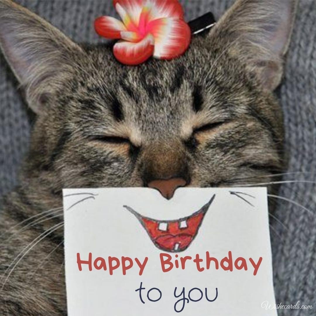 Birthday Card with Cat