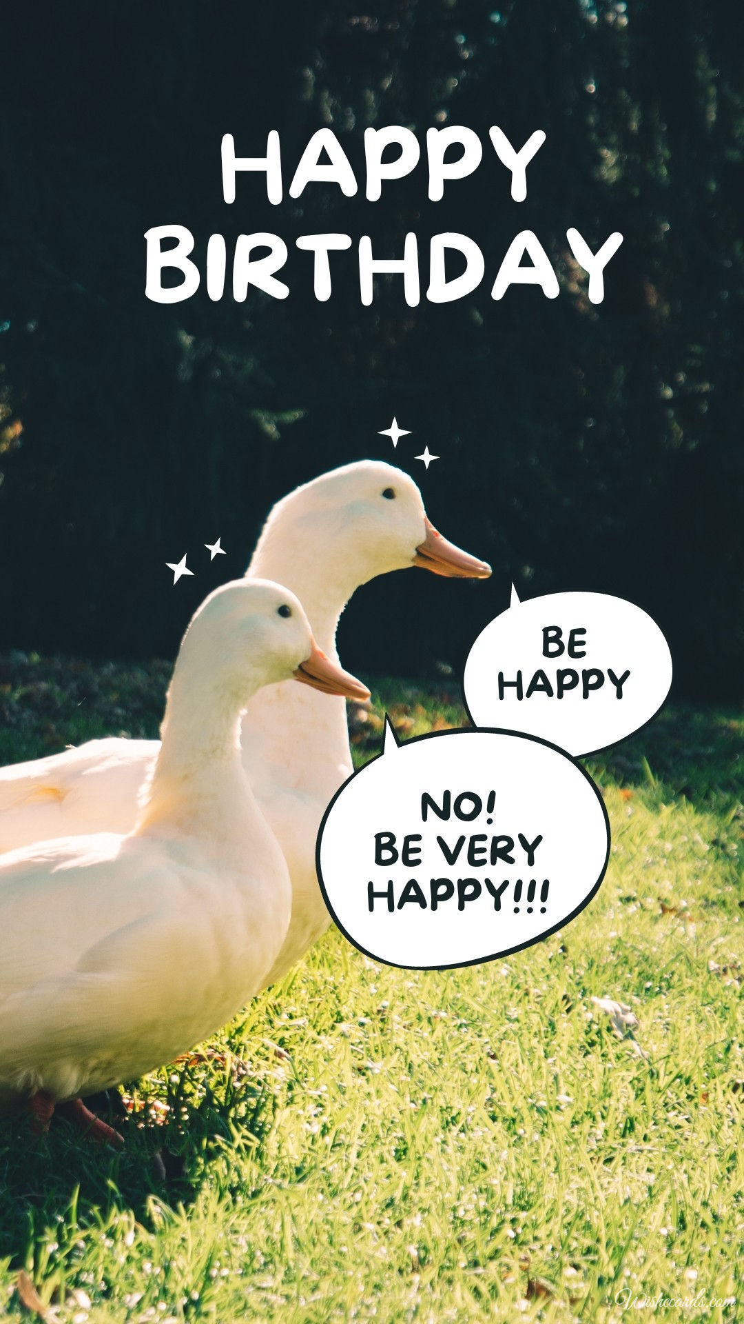 Birthday Card with Duck