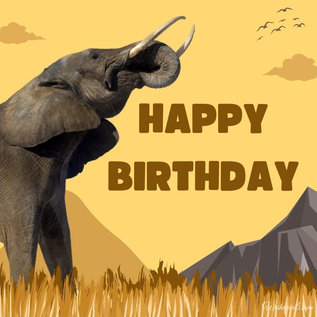 Birthday Card with Elephant