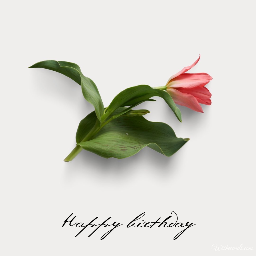 Birthday Card with Flower