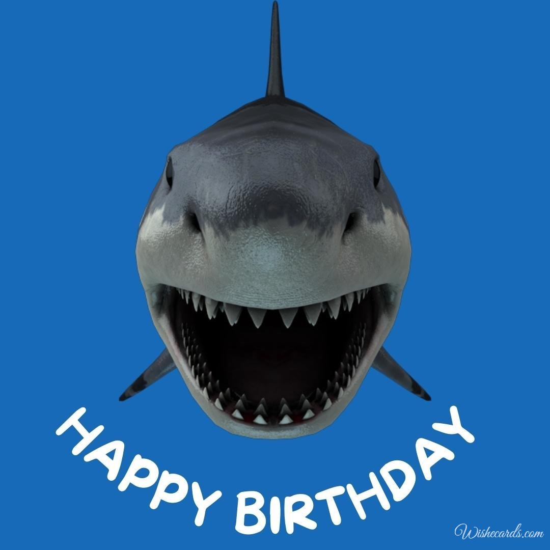 Birthday Card With Shark
