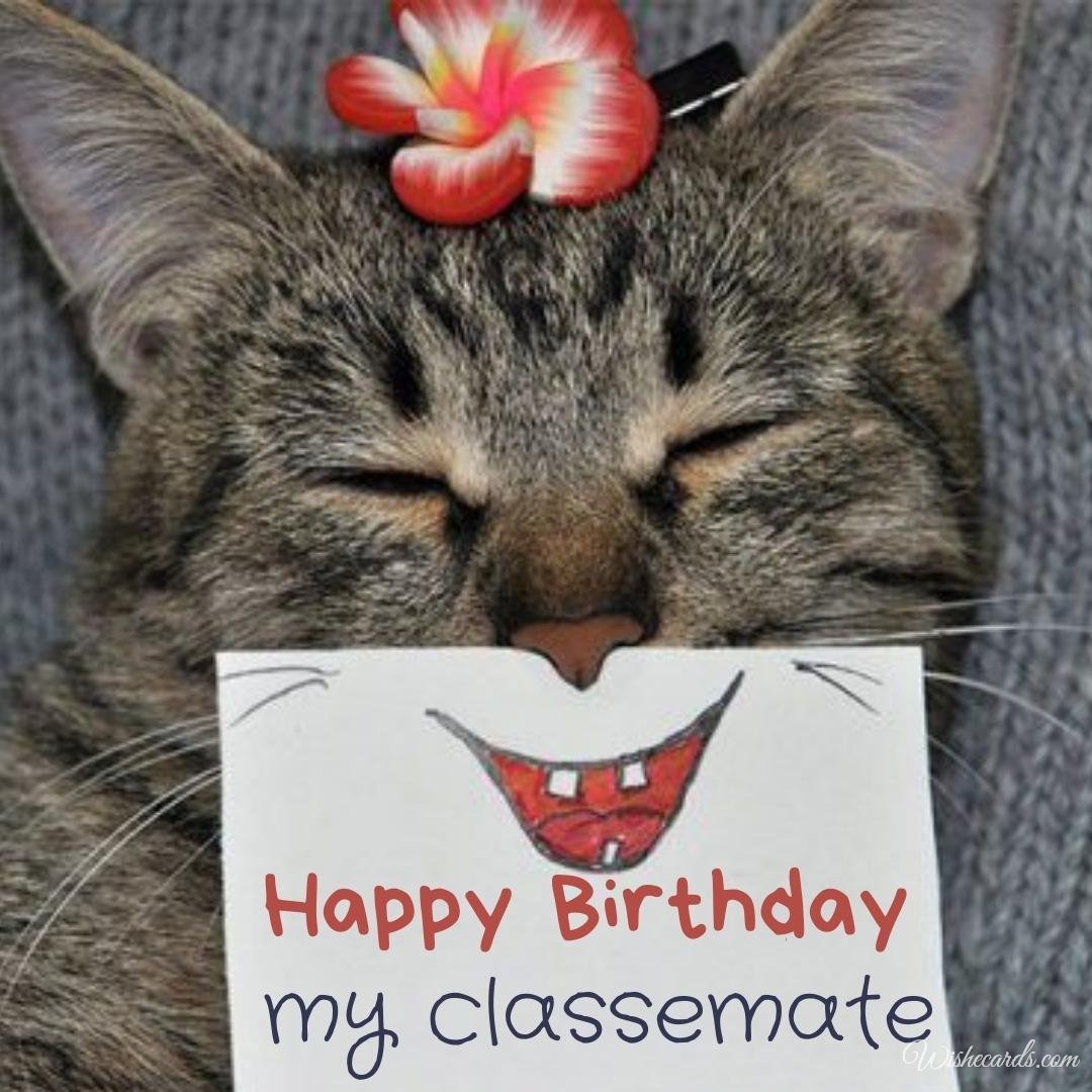 Birthday Ecard for Classmate