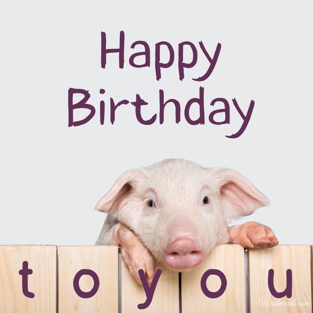Birthday Ecard with Pig