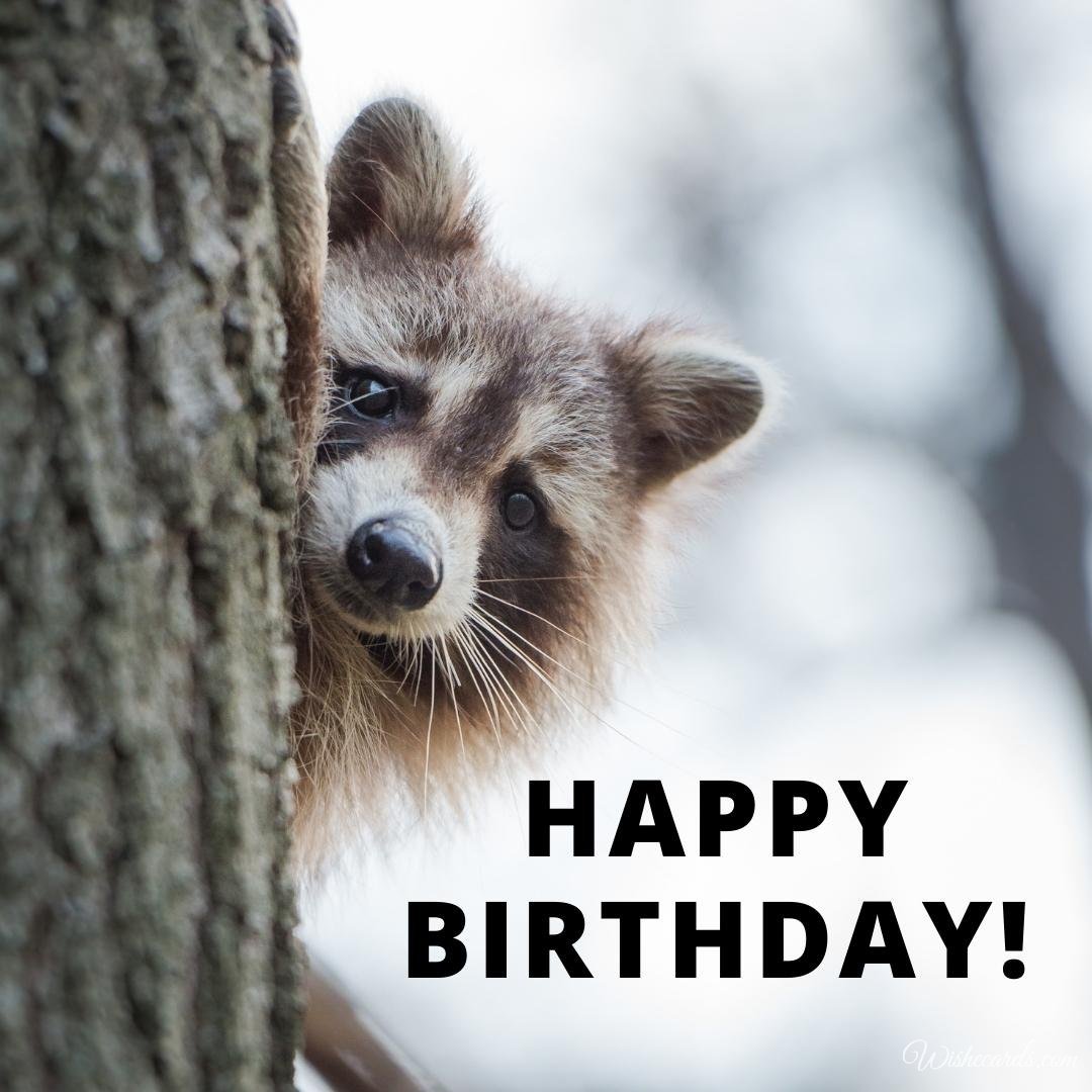 Funny Collection Of Happy Birthday Cards With Raccoons