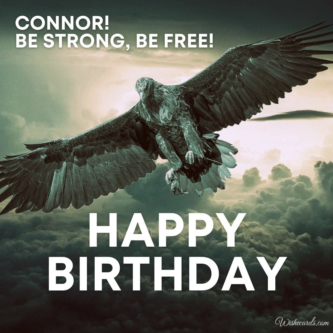 Birthday Greeting Ecard For Connor