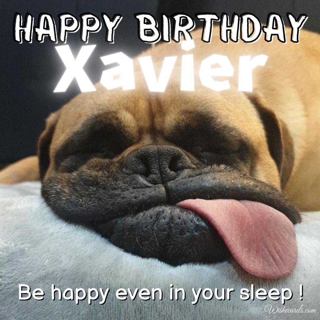 Birthday Greeting Ecard For Xavier