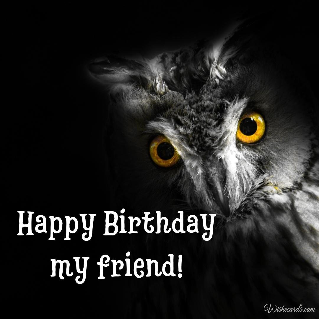 Birthday Greeting Ecard with Owl