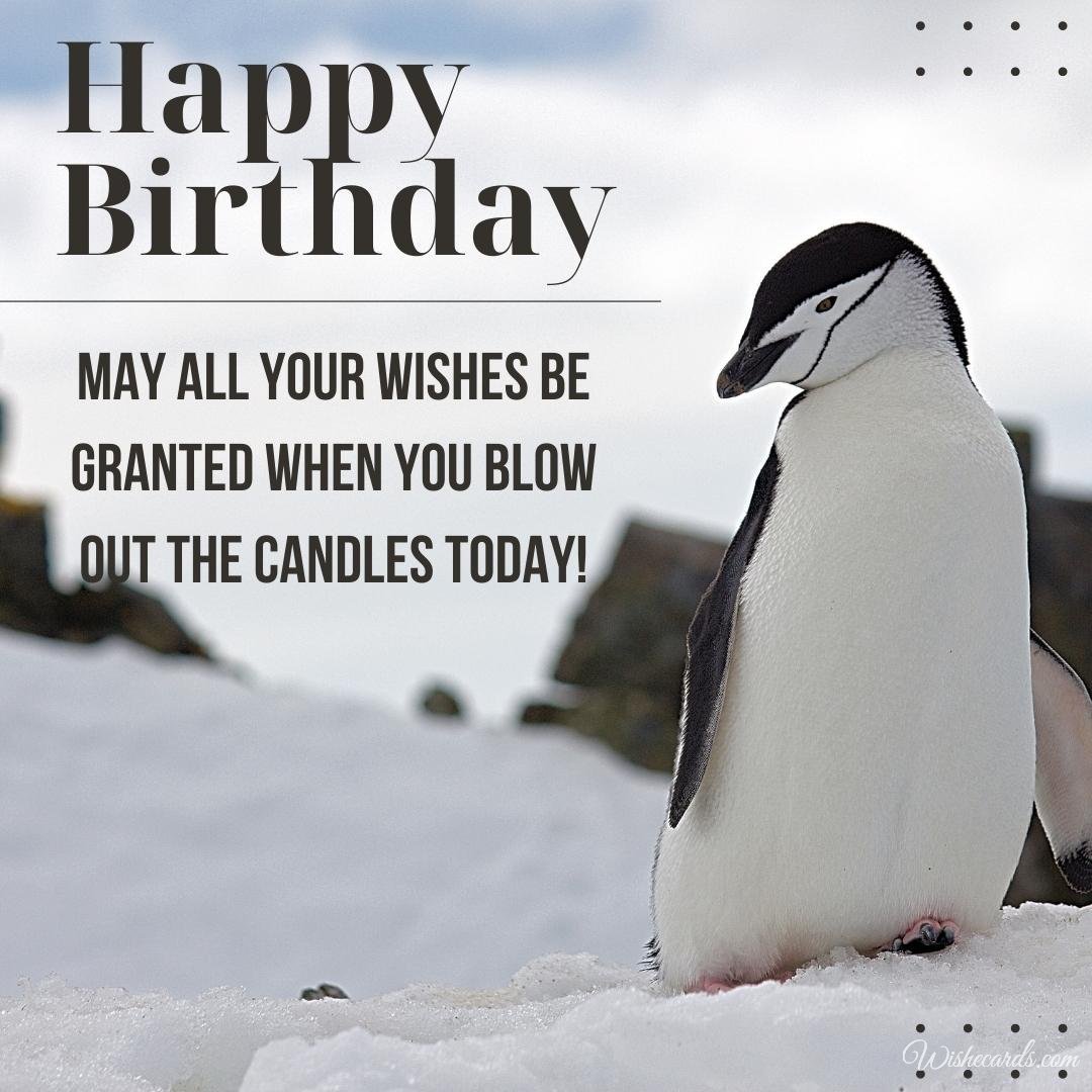 Birthday Greeting Ecard with Penguin