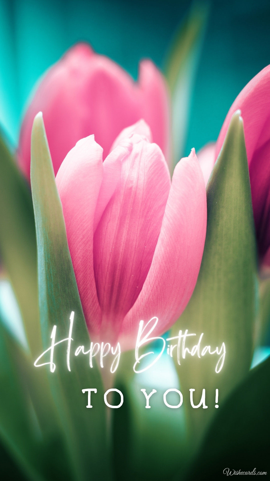 Birthday Tulips Image