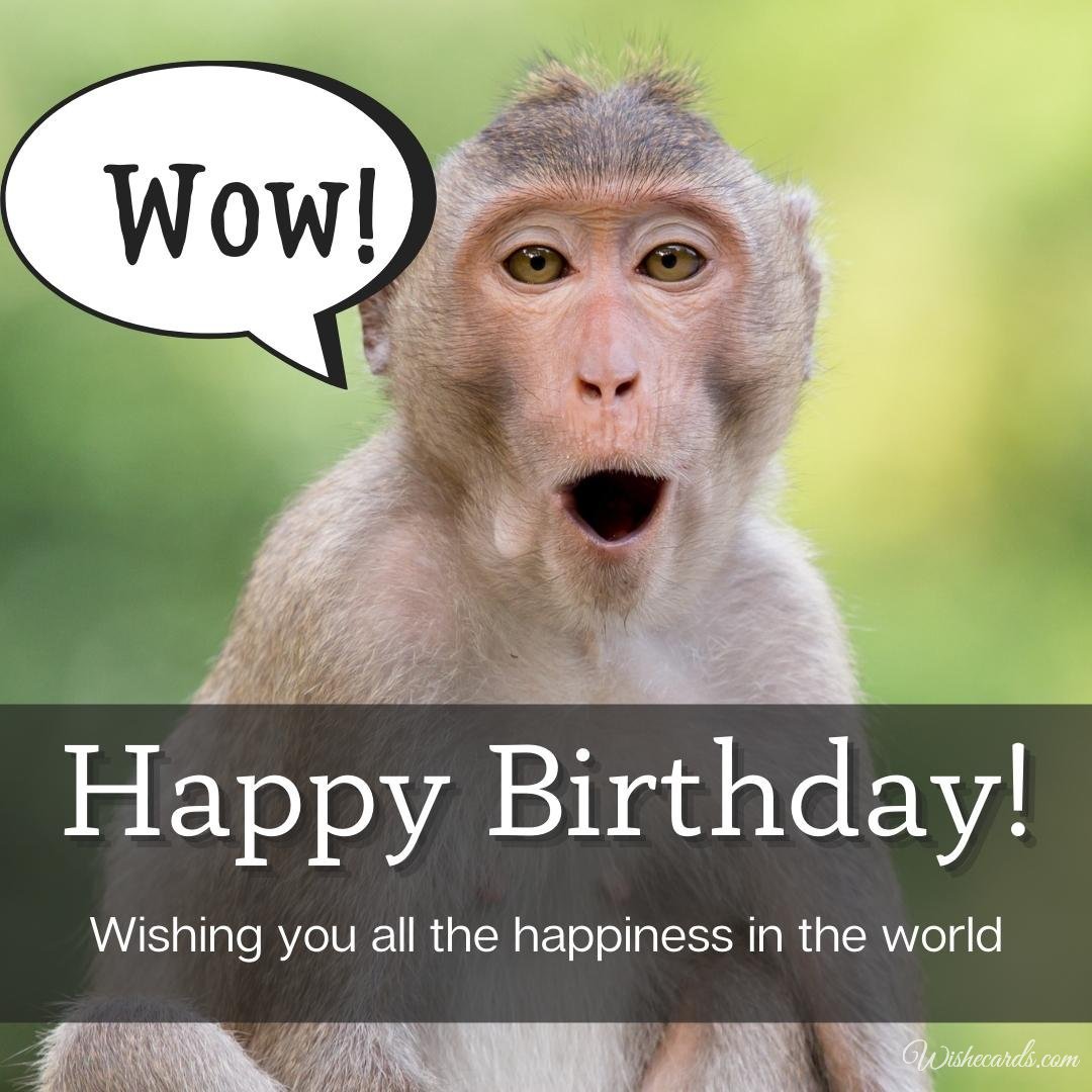 Birthday Wish Ecard With Monkey