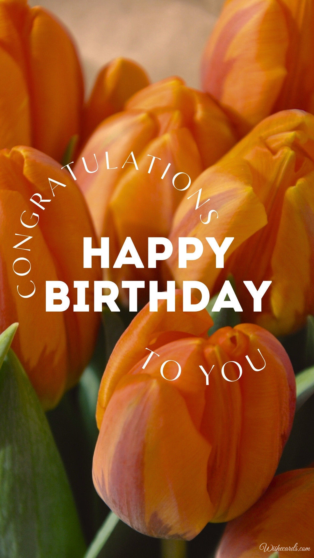 Birthday Wish with Tulips