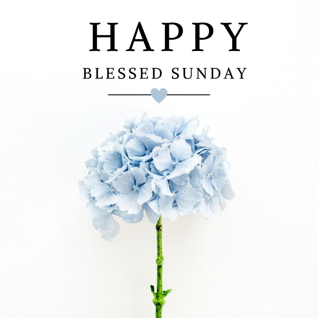 Blessed Happy Sunday Image
