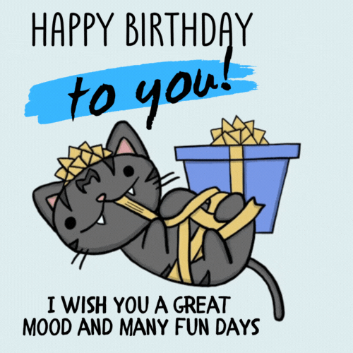 Cat Gif Happy Birthday