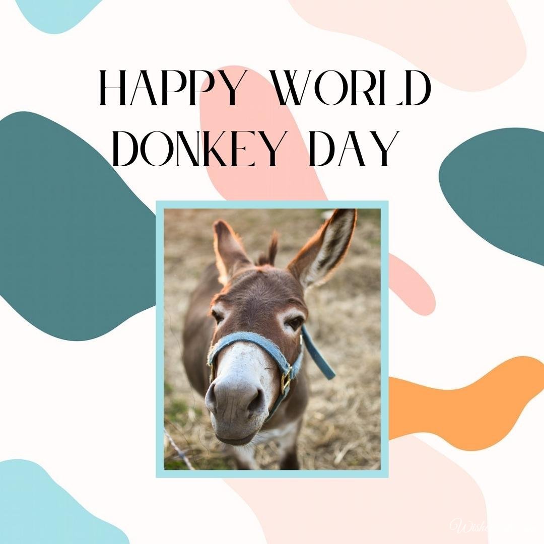 Cool Virtual World Donkey Day Image
