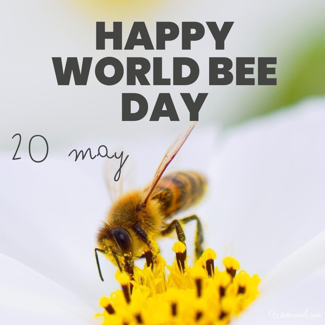 Cool World Bee Day Ecard